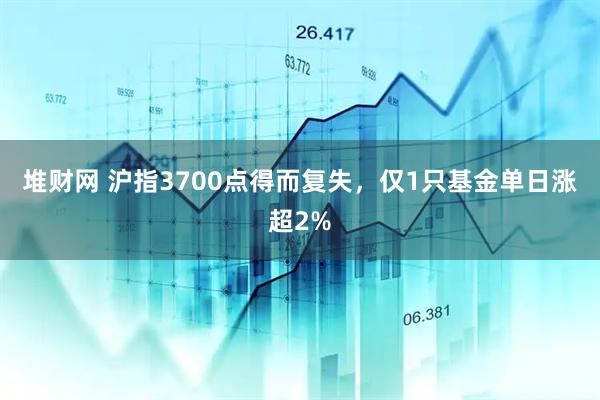 堆财网 沪指3700点得而复失，仅1只基金单日涨超2%