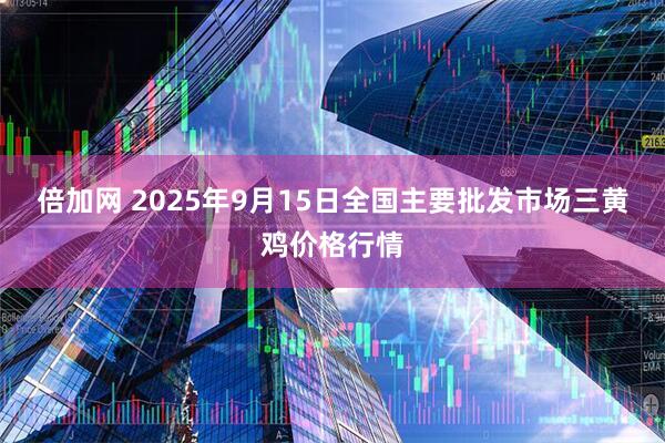 倍加网 2025年9月15日全国主要批发市场三黄鸡价格行情